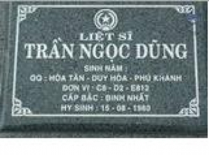 Tìm thân nhân liệt sĩ Trần Ngọc Dũng