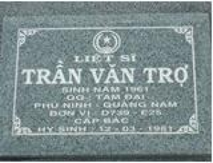 Tìm thân nhân liệt sĩ Trần Văn Trợ