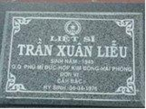 Tìm thân nhân liệt sĩ Trần Xuân Liễu